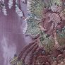Elegant Lilac Lace Embroidered Evening Maxi Dress with Beaded Detail Image 5
