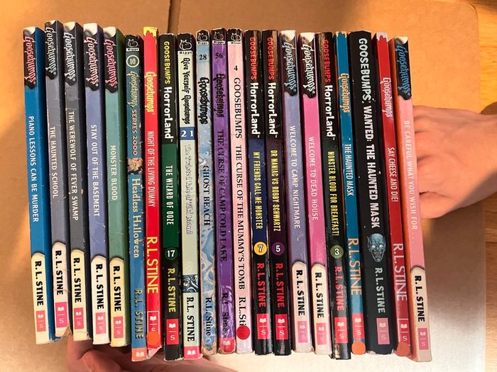 Goosebumps Book Bundle