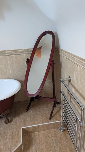 Mirror