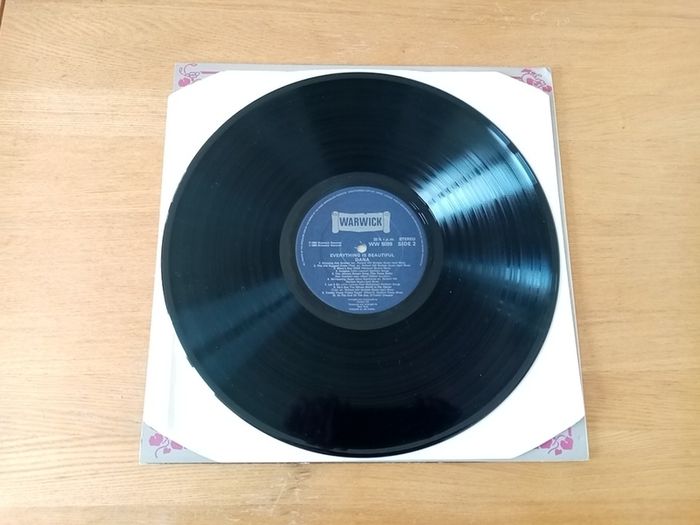 DANA. Everything Is Beautiful. 1980 UK Pressing. Warwick Records. LP. Vinyl. Record. Album.