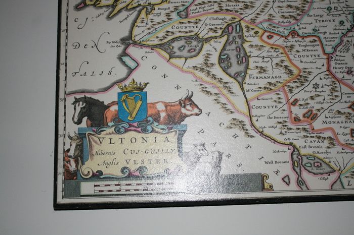 Vintage VLTONIA  VLSTER map  (51cm x 42cm)