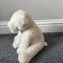 Jellycat Perry Polar Bear BNWT Image 2
