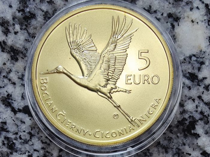 Slovakia 5 Euro Shiny Coin 2023 - Stork - Fauna and flora in Slovakia