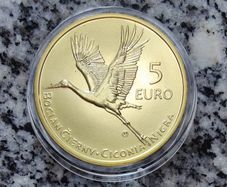 Slovakia 5 Euro Shiny Coin 2023 - Stork - Fauna and flora in Slovakia