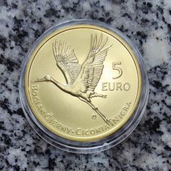 Slovakia 5 Euro Shiny Coin 2023 - Stork - Fauna and flora in Slovakia