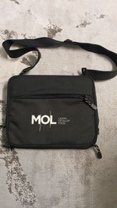 Small laptop / iPad bag