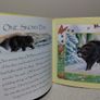 Bear Stories Hardback Storybook Image 9