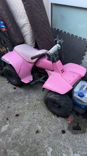 suzuki lt50 x2