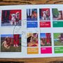 2006 Ireland Chinese New Year Year of the Dog Commemorative Stamps Miniature Sheet Mint Never Hinged (MNH) Image 5