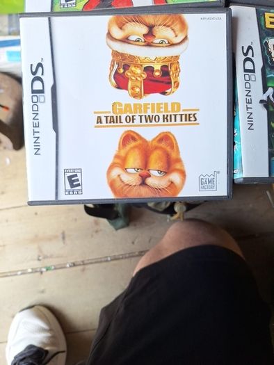 nintendo Ds