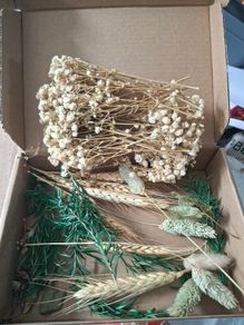 dried flowers for crafts