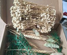 dried flowers for crafts