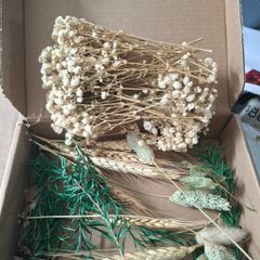 dried flowers for crafts