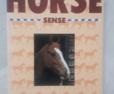 Horse Sense