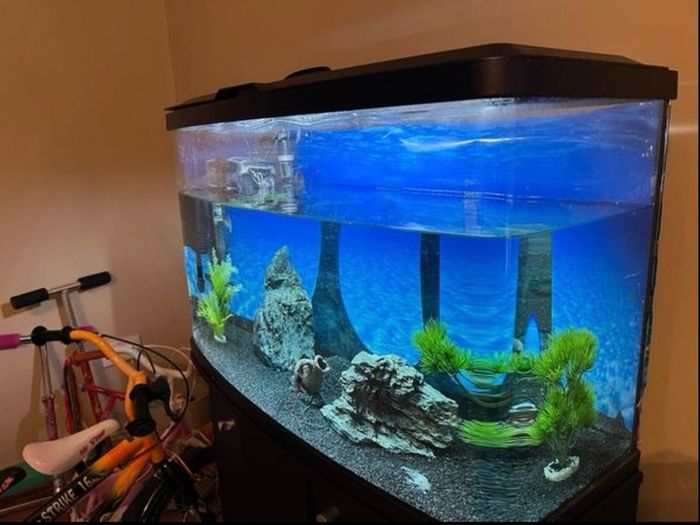 80L Aquarium with Black Cabinet and Accessories