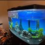 80L Aquarium with Black Cabinet and Accessories Image 2