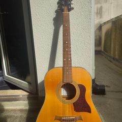 SX Acoustic Guitar