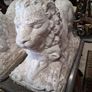 Large Pair cast stone Garden Lions Image 5