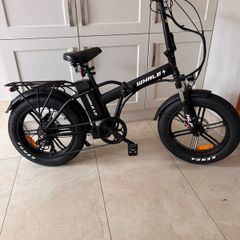 Electric Bike