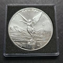 2009 Mexico Libertad 1 Oz .999 Silver Unc Coin