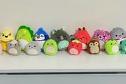 Mini Squishmallows and Micromallows bundle