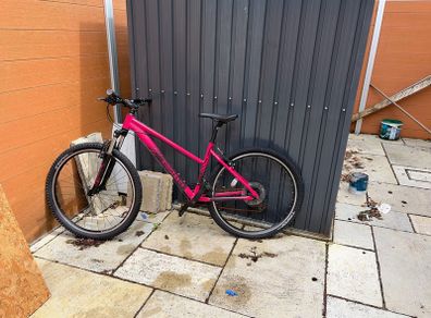Ridgeback bike 28"