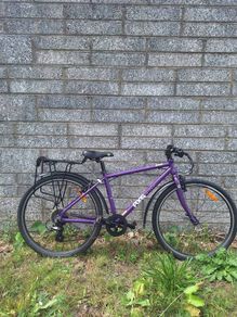 Frog 26" 8-12 years of age Girls