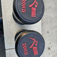 20kg dumbell