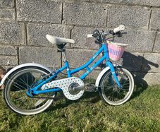 Pendleton Ashbury Kids Bike