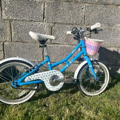 Pendleton Ashbury Kids Bike