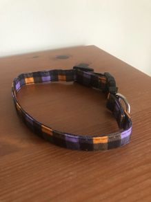 dog collar
