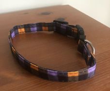 dog collar