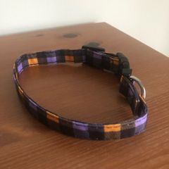 dog collar