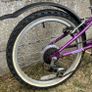 Girls 20" bike Image 4