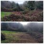 Mulcher Image 2