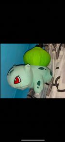 Pokemon Large