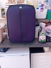 tripp suitcase  collection  artane