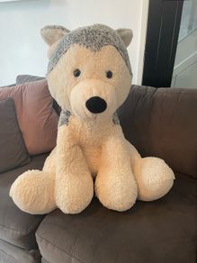 Large Husky cuddly toy