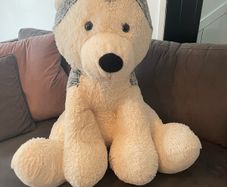 Large Husky cuddly toy
