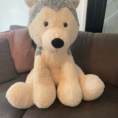 Large Husky cuddly toy