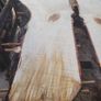 Hardwood timber Image 4