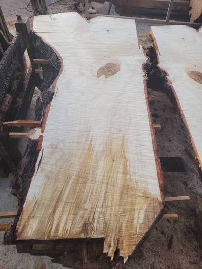 Hardwood timber