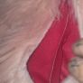 Girls pink fluffy chair great senory bought Image 4