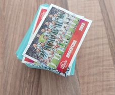 panini world cup 2026