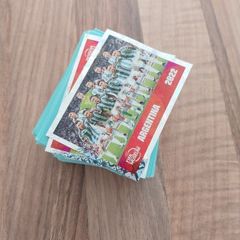 panini world cup 2026