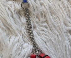 dog collar  New.