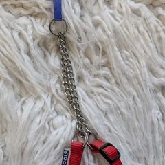 dog collar  New.