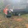Tree removal Image 4