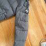 Canada goose Image 4