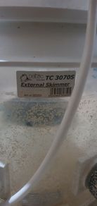 Deltec Protein Skimmer
